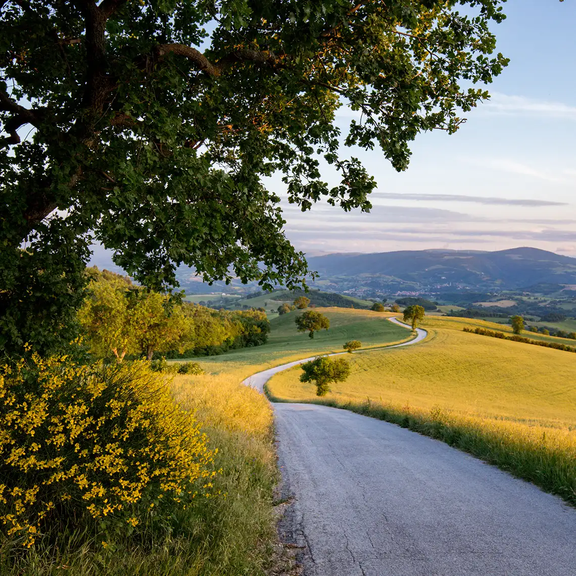 itinerari cicloturistici nel territorio dell'alto maceratese: san severino marche
